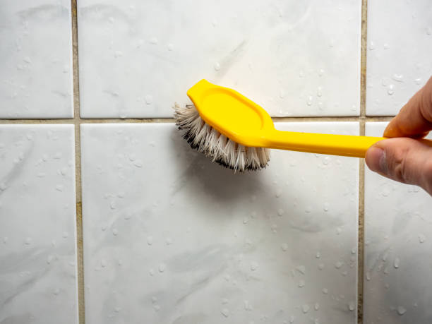 Best Black Mold Removal  in Randleman, NC