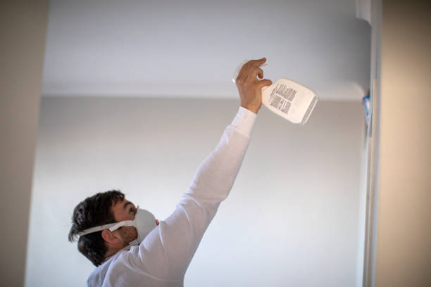 Best Water Damage Restoration  in Randleman, NC