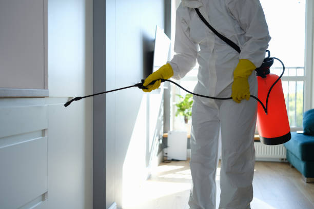 Best Mold Removal Specialists  in Randleman, NC