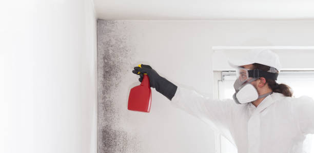 Best Mold Testing  in Randleman, NC